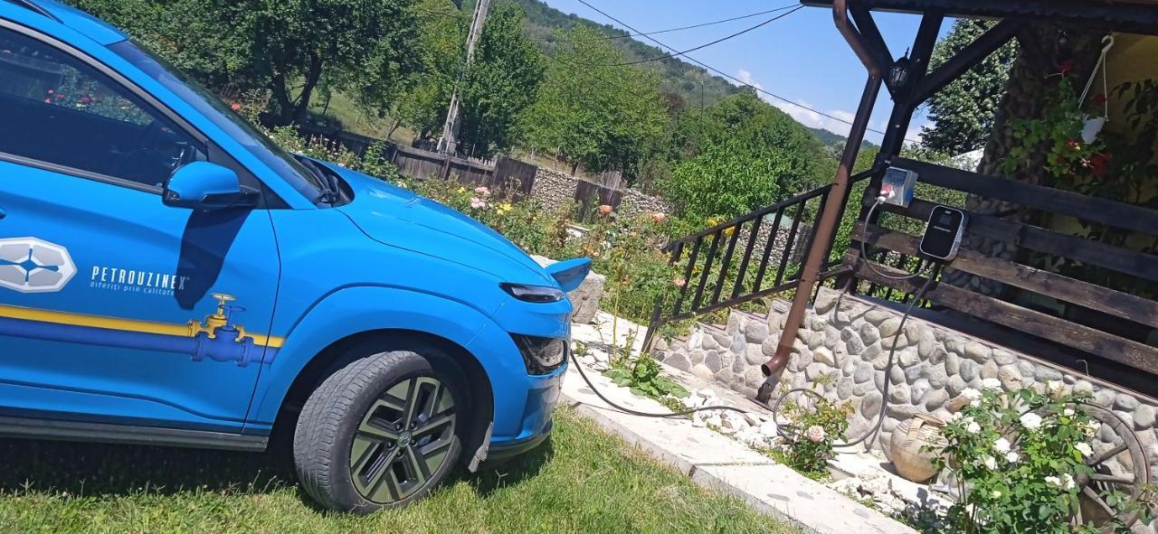 Pensiunea Gradinarilor Cu Ciubar Si Statie De Incarcare Electrica Auto Comanesti  Екстер'єр фото